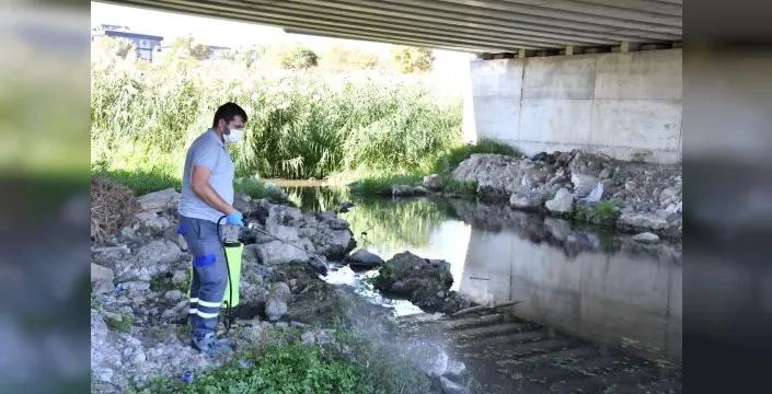 Çanakkale'de sinek artışına karşı mücadele başladı