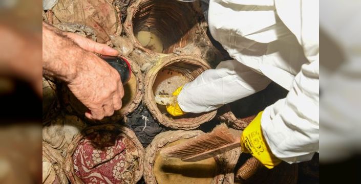 Çatak'ta karakovan balı hasadı yapıldı