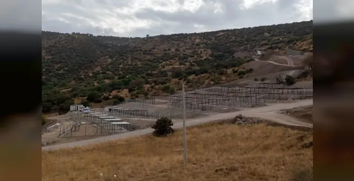Dikili'de sokak hayvanları için sosyal yaşam kampüsü inşa ediliyor