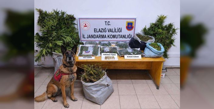 Elazığ'da uyuşturucu operasyonunda üç kişi tutuklandı