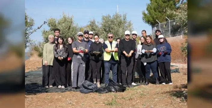 Gençler Şarköy'de zeytin hasadını öğrendi