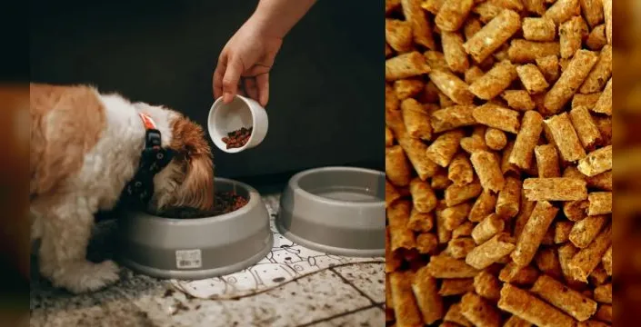 Gıda atıkları, 74 ilde hayvan maması olarak kullanılıyor