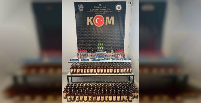 Iğdır'da düzenlenen operasyonda bir şüpheli yakalandı