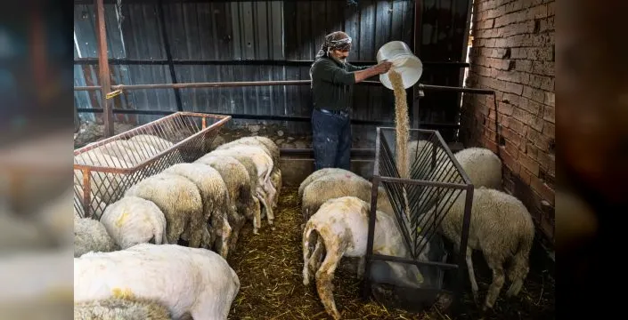 İzmir'de yangından etkilenenlere 30 ton yem yardımı