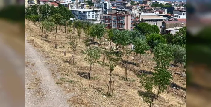 İzmir'e 41 bin yeni bitki dikildi