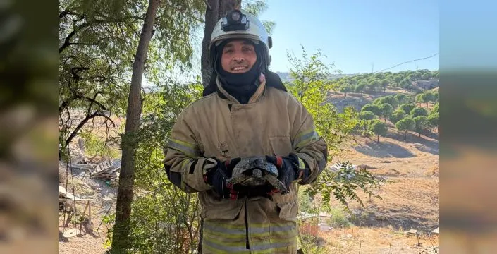 İzmir itfaiyesi, yangında mahsur kalan kaplumbağayı kurtardı