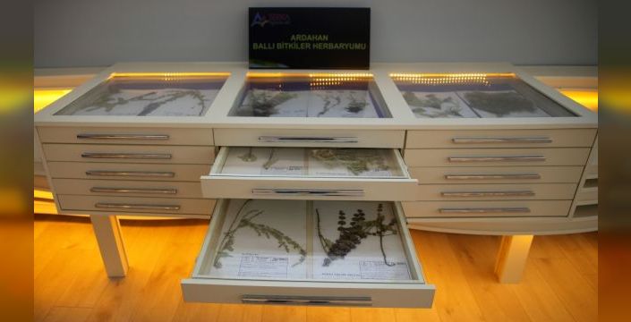 Kafkas Arı Müzesi iki yılda 4.600 ziyaretçi ağırladı