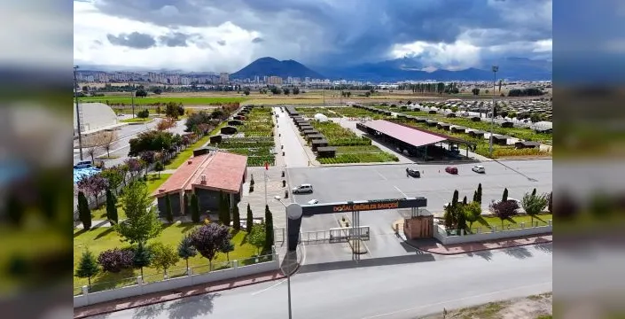 Kayseri'de kimyon üretimi için özel alan