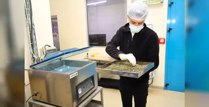 Kocaeli'de tıbbi bitkilerden yeni ürünler geliştiriliyor