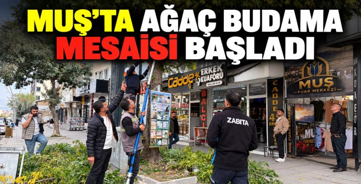 Muş’ta Ağaç Budama Mesaisi Başladı