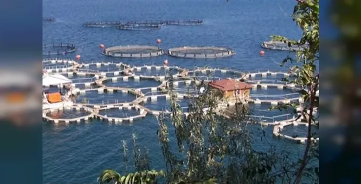 Tarım projelerine 1,2 milyar lira hibe