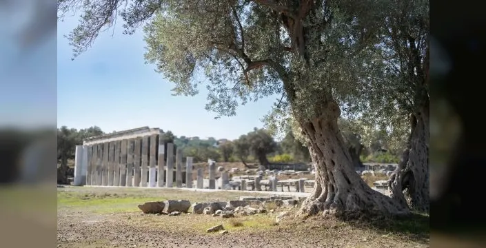 Teos'ta 800 kişilik meclis binası gün yüzüne çıktı