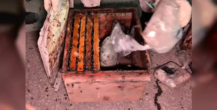 Yüksekova'da arı kovanları arasında 91 kilo uyuşturucu bulundu