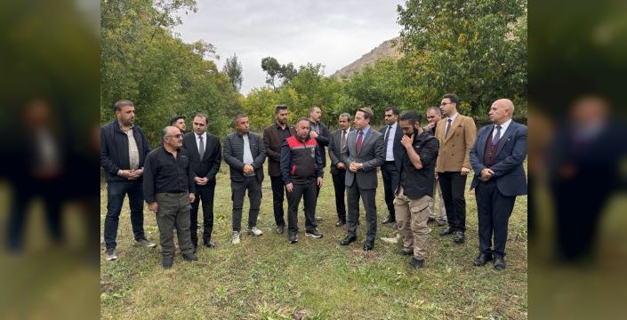 Yüksekova Kaymakamı Hülür, ceviz hasadına katıldı